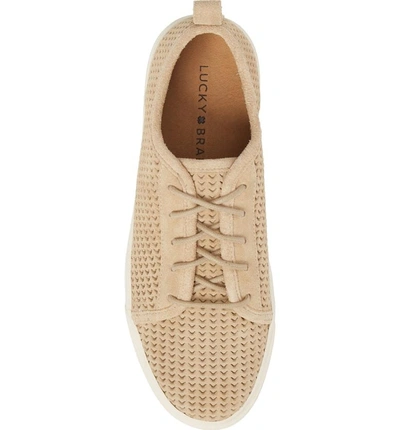 Shop Lucky Brand Lawove Sneaker In Travertine Suede