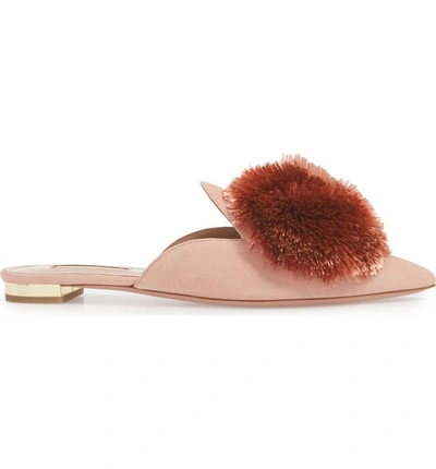 Shop Aquazzura Powder Puff Pointy Toe Mule In French Rose