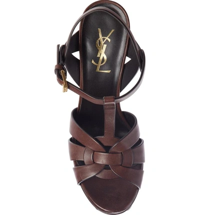 Shop Saint Laurent 'tribute' Sandal In Dark Chocolate