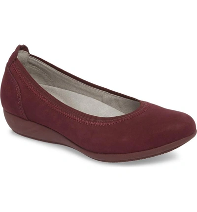 Shop Dansko Kristen Ballet Flat In Wine Milled Nubuck