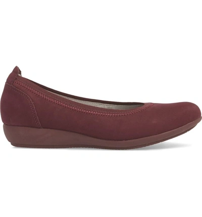 Shop Dansko Kristen Ballet Flat In Wine Milled Nubuck