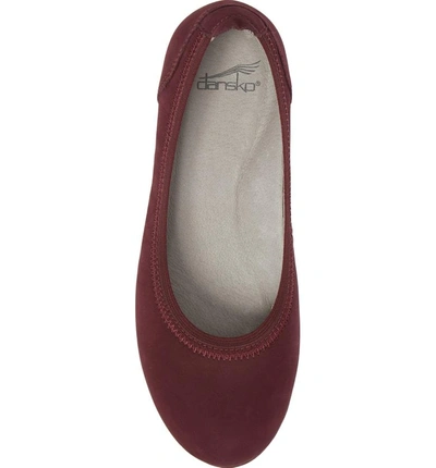 Shop Dansko Kristen Ballet Flat In Wine Milled Nubuck