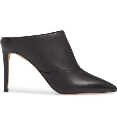 Shop Dolce Vita Cinda Pointy Toe Mule In Black Leather