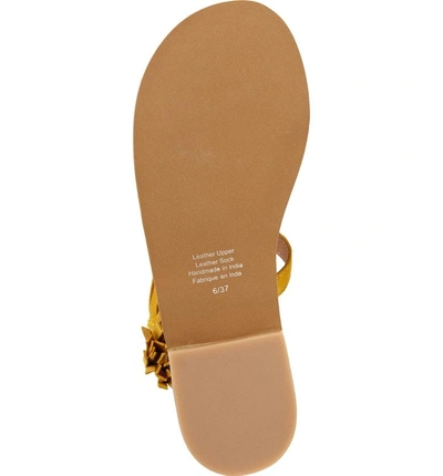 Shop Jeffrey Campbell Glady Sandal In Mustard Suede