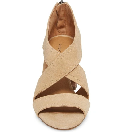 Shop Lucky Brand Vidva Strappy Sandal In Travertine Suede