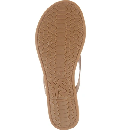 Shop Yosi Samra Rivington Flip Flop In Latte Leather