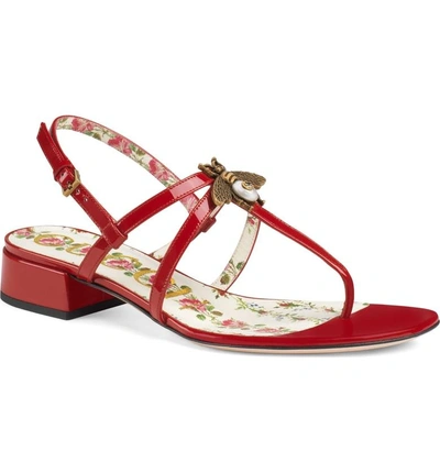Shop Gucci Bee Thong Sandal In Hibiscus Red