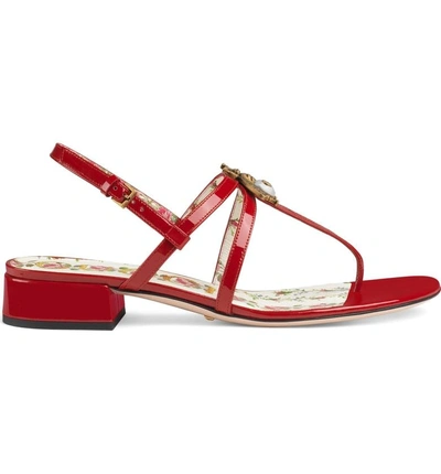Shop Gucci Bee Thong Sandal In Hibiscus Red