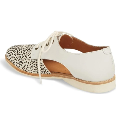 Shop Rollie Side Cut Derby In Snow Leopard/ White Leather
