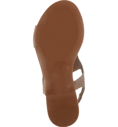 Shop Sheridan Mia Tai Sandal In Taupe Leather
