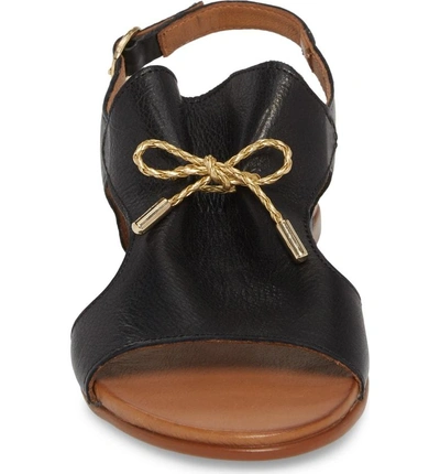 Shop Sheridan Mia Tai Sandal In Black Leather