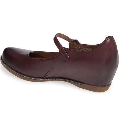 Shop Dansko Loralie Mary Jane Wedge In Wine Burnished Leather