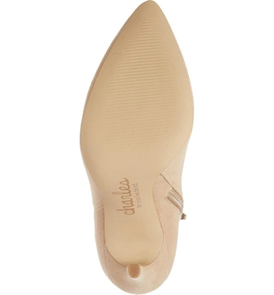 Shop Charles By Charles David Delicious Bootie In Nude Suede