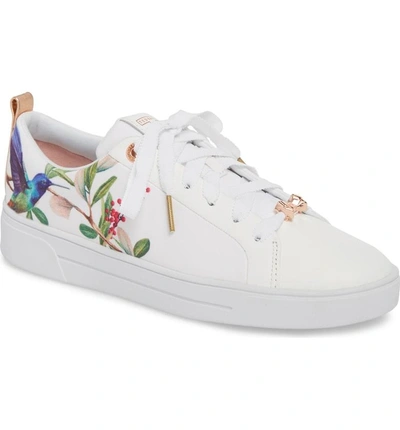 Ted Baker Ahfira Sneaker In Highgrove Hummingbird Print | ModeSens