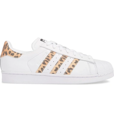 предсказател отидете на разглеждане място Adidas Originals Superstar Leopard Print-trimmed Leather Sneakers In White  | ModeSens