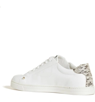 Shop Fendi Bugs Sneaker In White/ Snakeprint