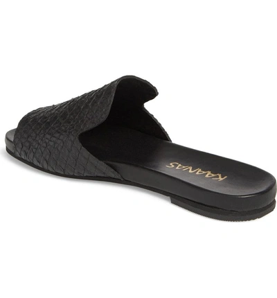 Shop Kaanas Leticia Loafer Mule Sandal In Black