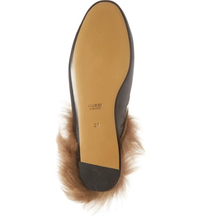 Shop Gucci Princetown Genuine Shearling Bee Loafer Mule In Black