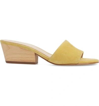 Shop Botkier Carlie Mule In Pineapple Suede