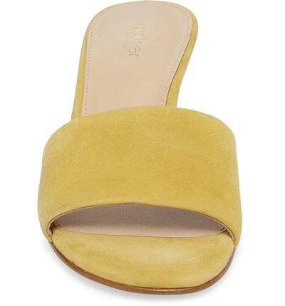 Shop Botkier Carlie Mule In Pineapple Suede