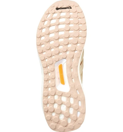 Shop Adidas Originals 'ultraboost' Running Shoe In Ash Pearl/ Linen/ Clear Orange