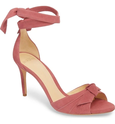 Shop Alexandre Birman Clarita Ankle Tie Sandal In Dusty Rose