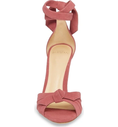 Shop Alexandre Birman Clarita Ankle Tie Sandal In Dusty Rose