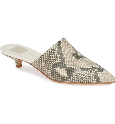 Shop Dolce Vita Obie Pointy Toe Mule In Snake Print