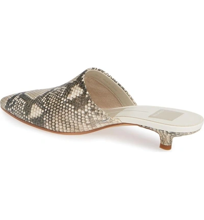 Shop Dolce Vita Obie Pointy Toe Mule In Snake Print