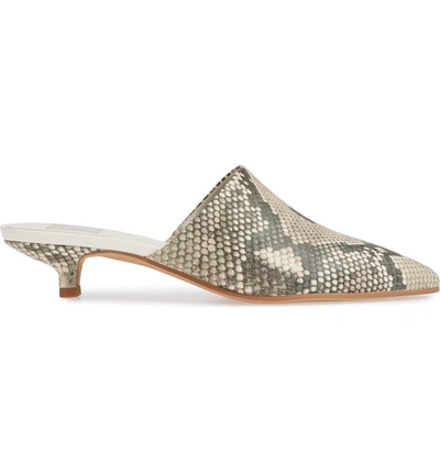 Shop Dolce Vita Obie Pointy Toe Mule In Snake Print