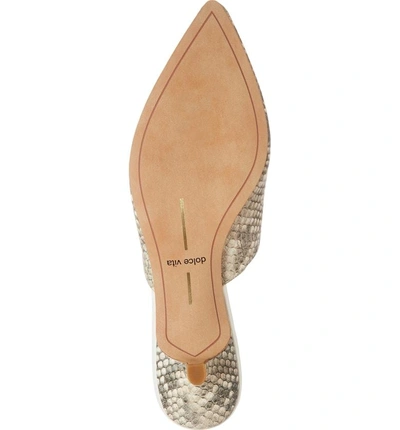 Shop Dolce Vita Obie Pointy Toe Mule In Snake Print