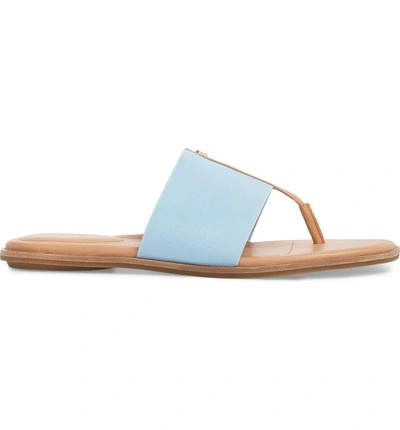 Shop Taryn Rose Kamryn Flip Flop In Sky Leather