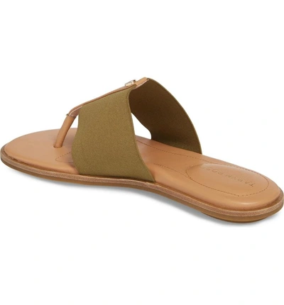 Shop Taryn Rose Kamryn Flip Flop In Sage Leather