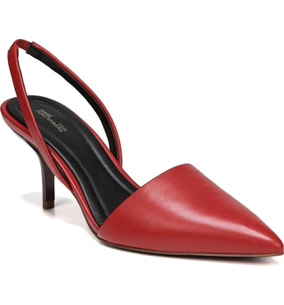 Shop Diane Von Furstenberg Mortelle Pump In Jasper