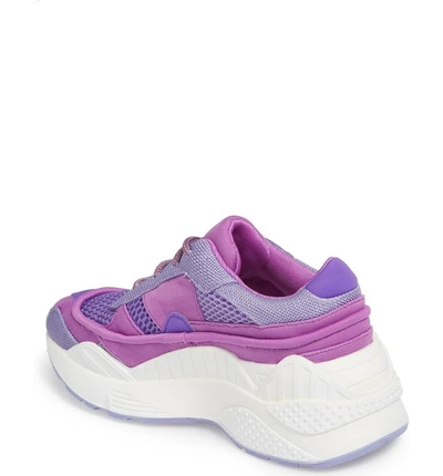 Shop Jeffrey Campbell Hmdi Platform Sneaker In Purple Mesh Combo