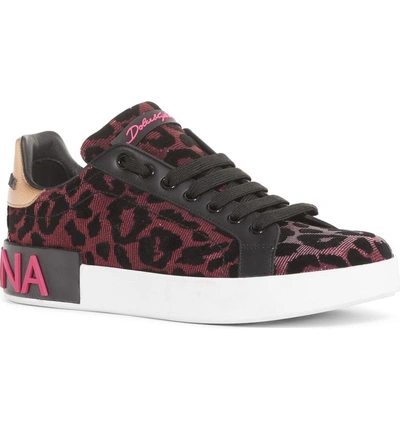 Shop Dolce & Gabbana Leopard Lace-up Sneaker In Fuchsia/ Black