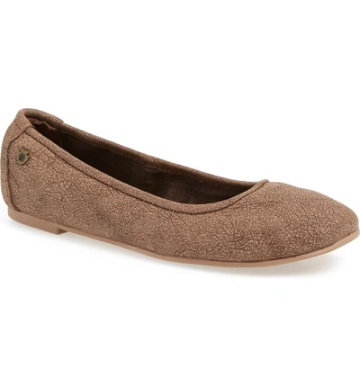 Shop Minnetonka Anna Ballerina Flat In Distressed Chocolate