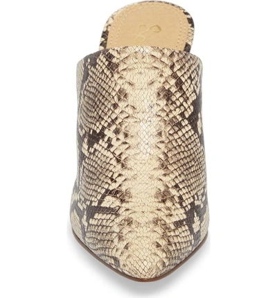 Shop Splendid Nala Ii Mule In Natural Embossed Snake Leather