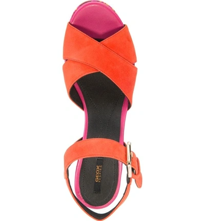 Shop Geox Galene 3 Platform Sandal In Coral Suede