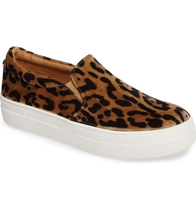 Shop Steve Madden Gills Platform Slip-on Sneaker In Leopard