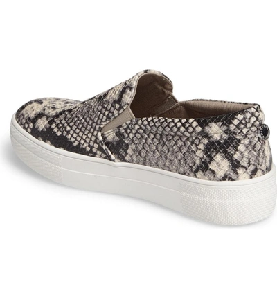 Shop Steve Madden Gills Platform Slip-on Sneaker In Natural Snake