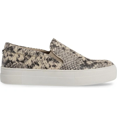 Shop Steve Madden Gills Platform Slip-on Sneaker In Natural Snake