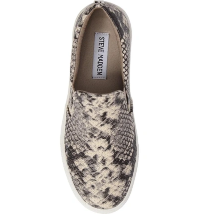 Shop Steve Madden Gills Platform Slip-on Sneaker In Natural Snake