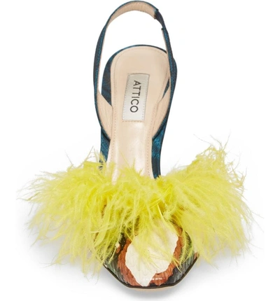 Shop Attico Mara Feathered Genuine Snakeskin Slingback Pump In Black/ Yellow