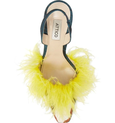 Shop Attico Mara Feathered Genuine Snakeskin Slingback Pump In Black/ Yellow