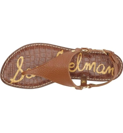 Shop Sam Edelman Greta Sandal In Soft Saddle Leather