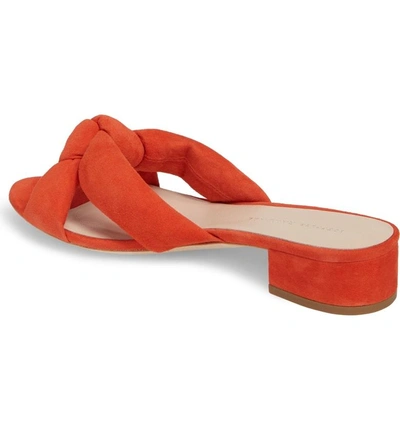 Shop Loeffler Randall Elsie Knotted Slide Sandal In Persimmon