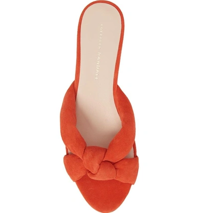 Shop Loeffler Randall Elsie Knotted Slide Sandal In Persimmon