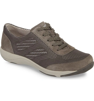 Shop Dansko Hayes Sneaker In Charcoal Suede