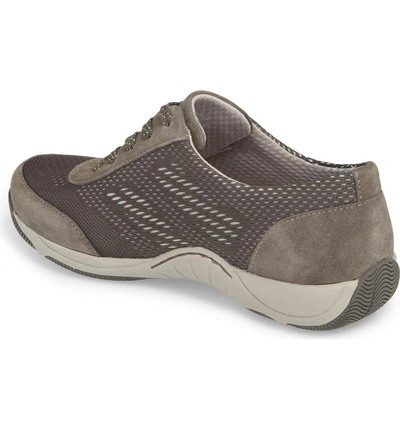 Shop Dansko Hayes Sneaker In Charcoal Suede